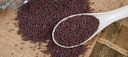 Brown mustard seeds Brown mustard seeds